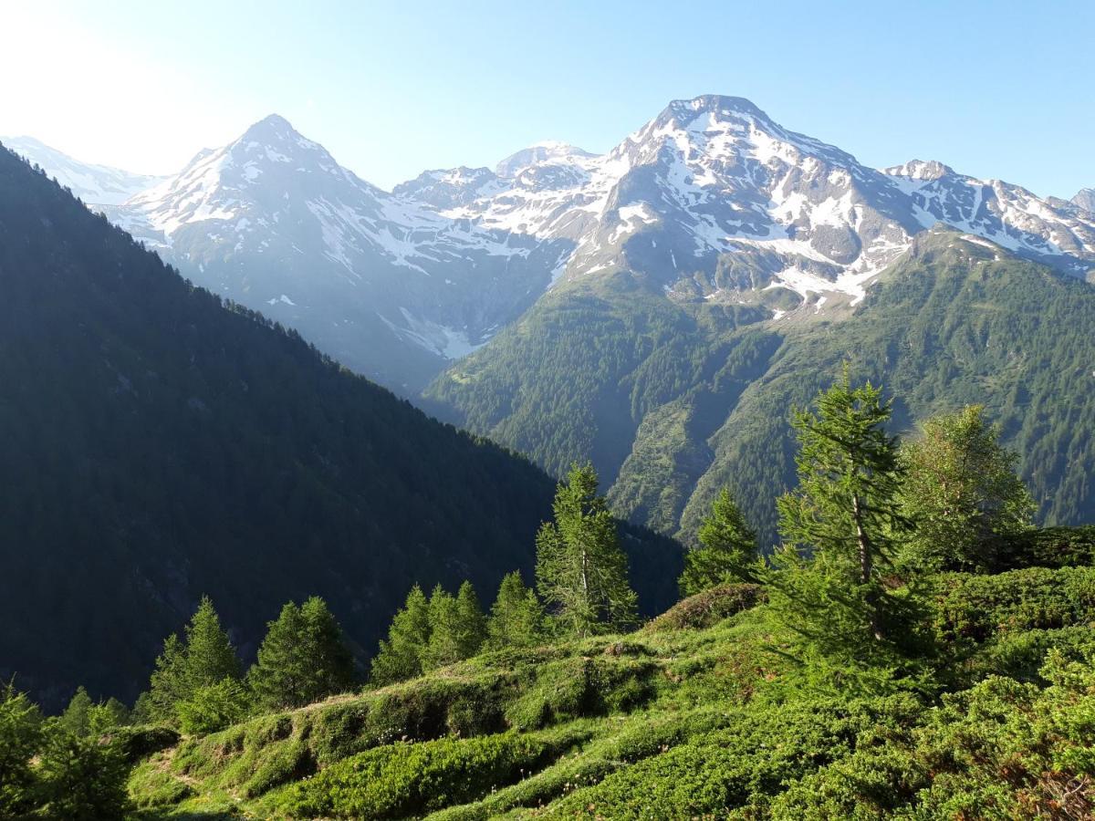 Chalet Bietschhorn Rosswald Termen Exteriör bild